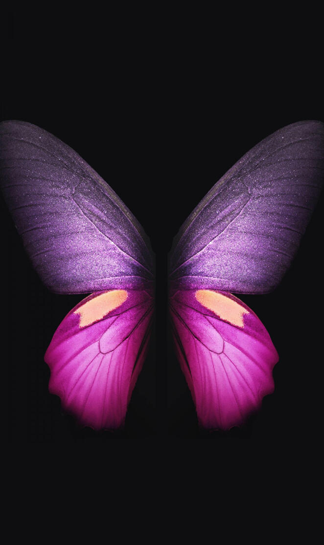 Pink Butterfly 4K