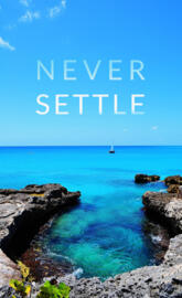 OnePlus Never Settle