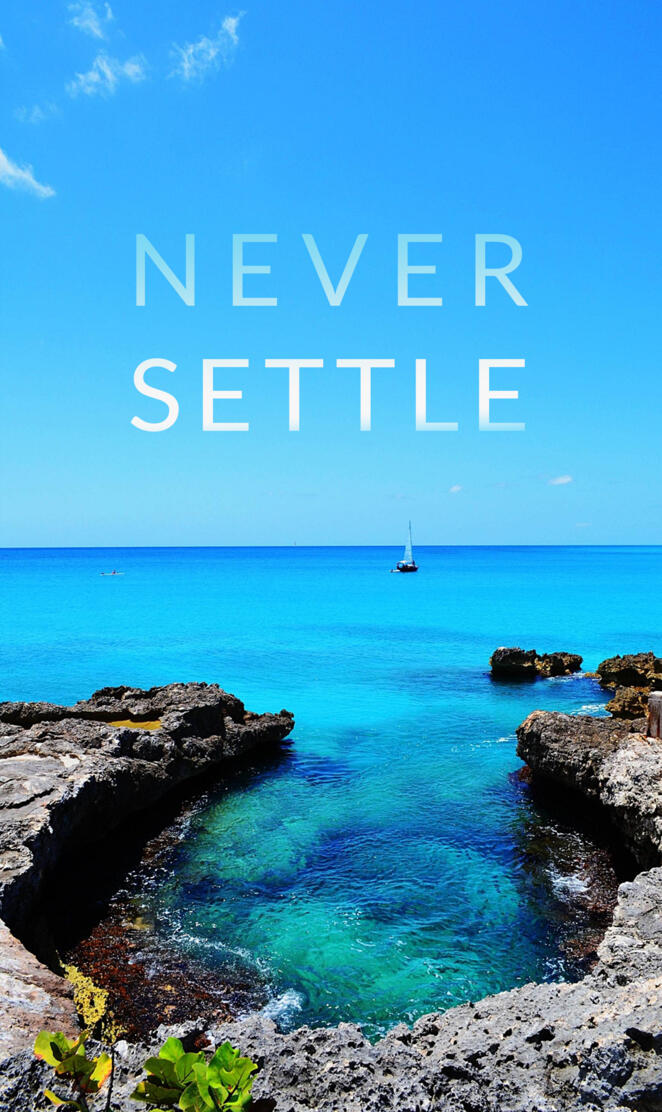 OnePlus Never Settle
