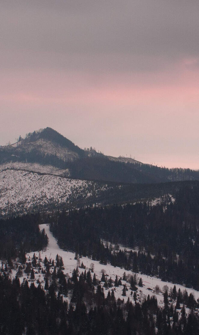 huawei mate 20 pro e