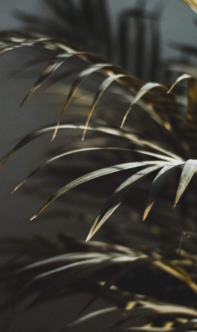 huawei mate 20 pro c