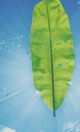 huawei mate 20 pro 4