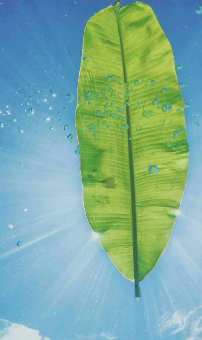 huawei mate 20 pro 4