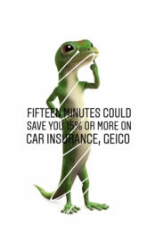 Geico