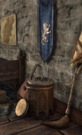 ESO DC Banner