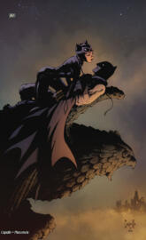 Catwoman atop TDK