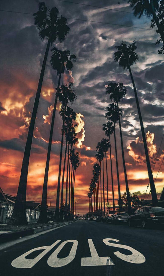California Sunset