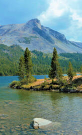 Tioga lake California