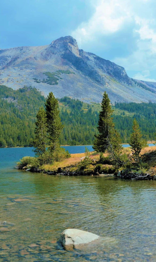 Tioga lake California