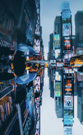 New York Reflections