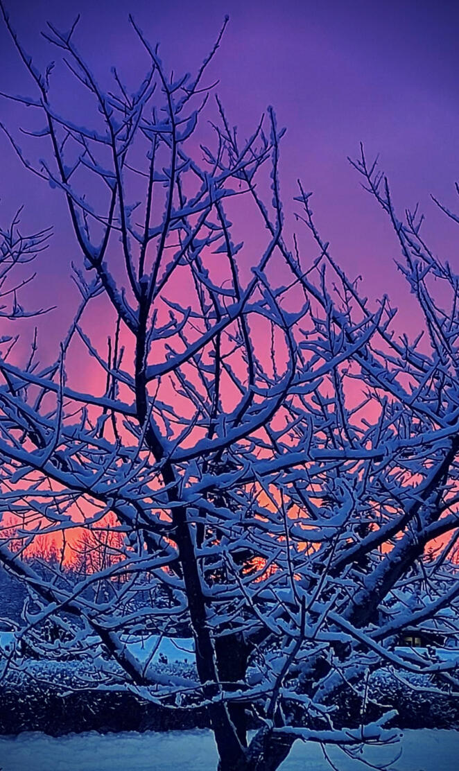 Winter Sunset