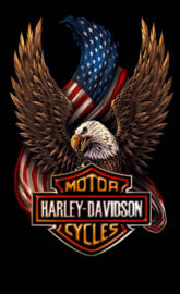 Usa Harley Davidson