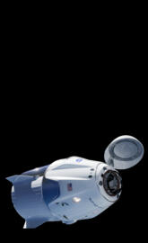 Dragon Space Capsule