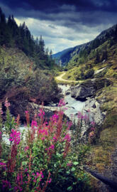 Cloudy Day in Mountai