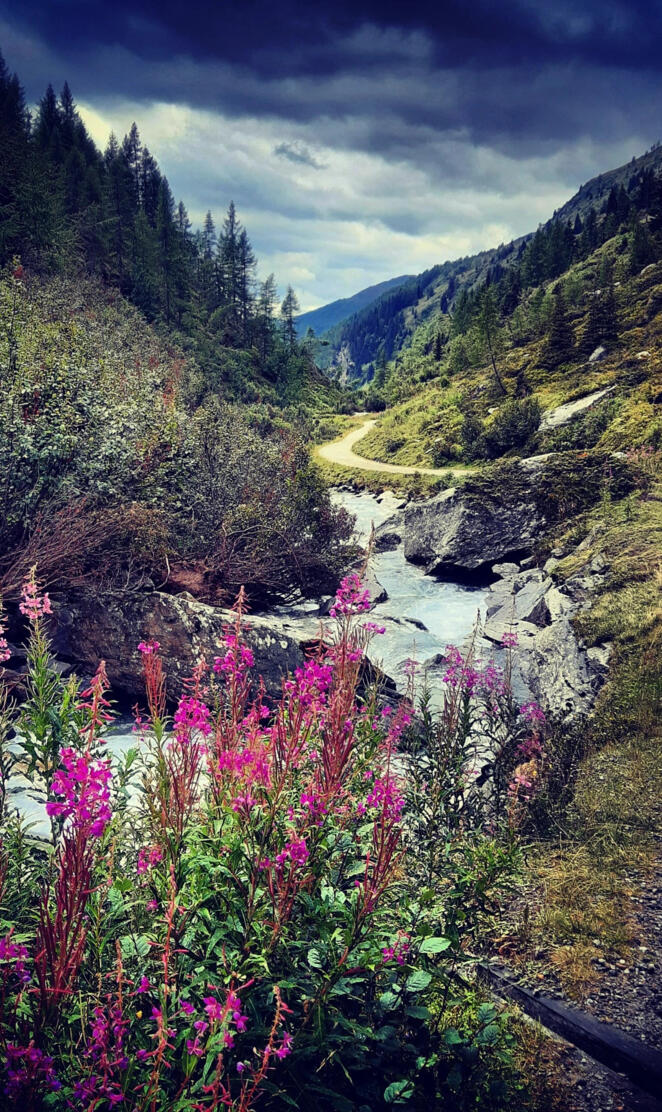 Cloudy Day in Mountai