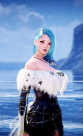 Black Desert Online Wi