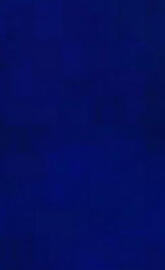 Dark blue wall
