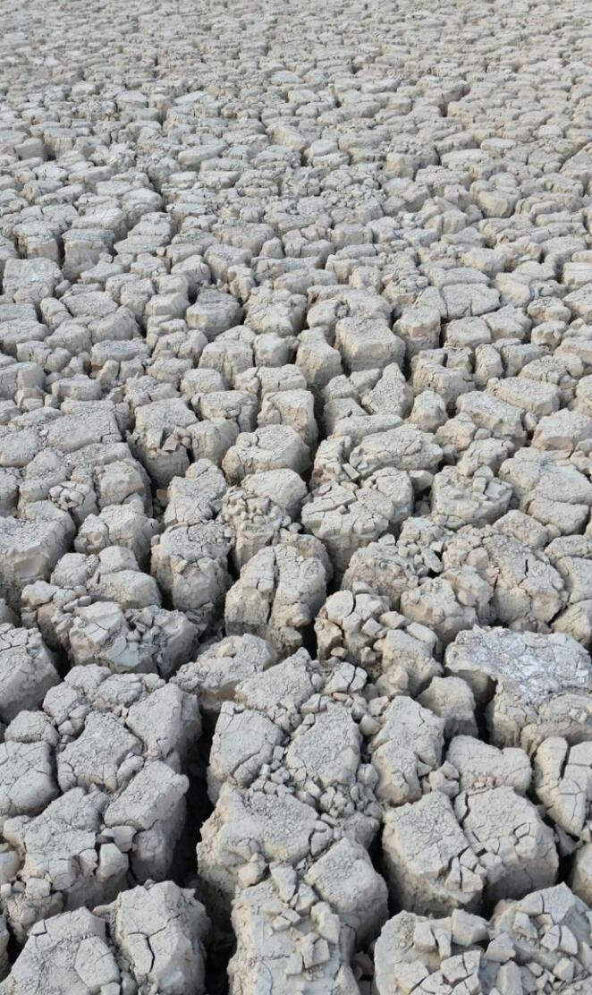 Dried Lake