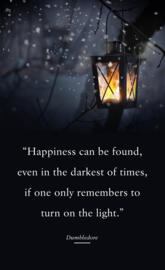 Dumbledore qoute