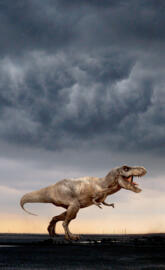 Jurassic Rex