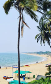 candolim beach goa