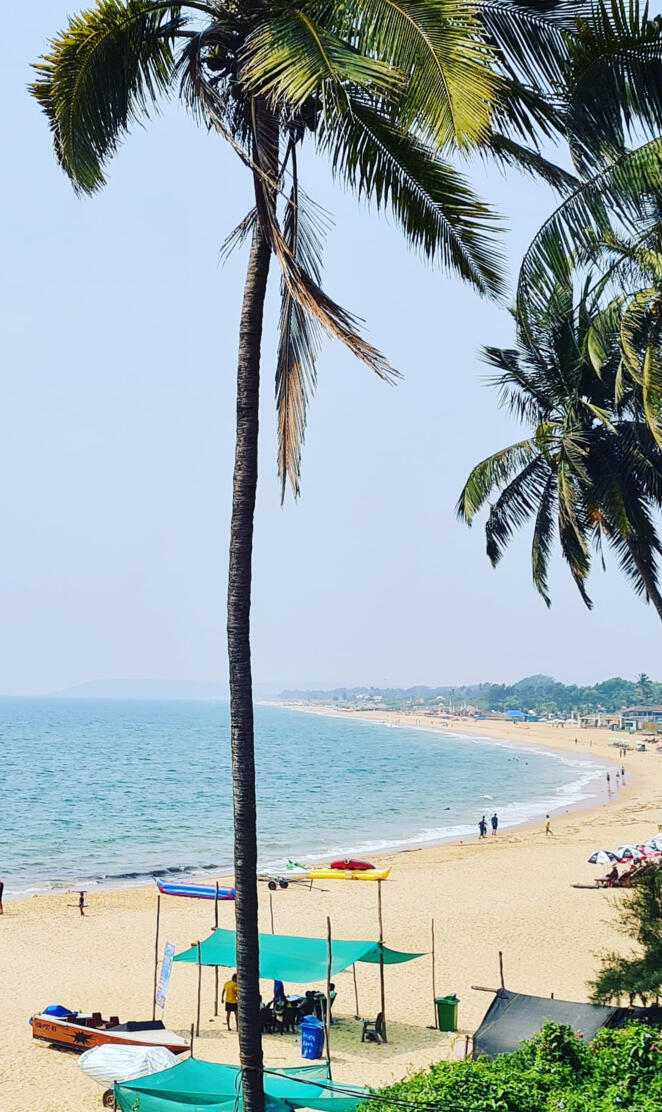 candolim beach goa