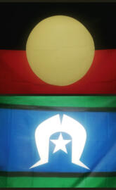 AboriginalTSI