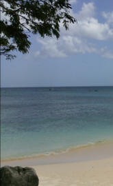 Barbados Beach