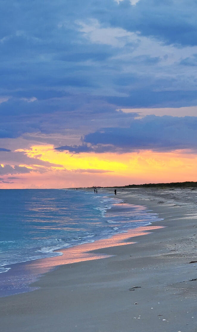 Sanibel Beach