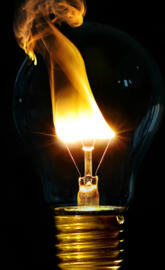 Bulbs