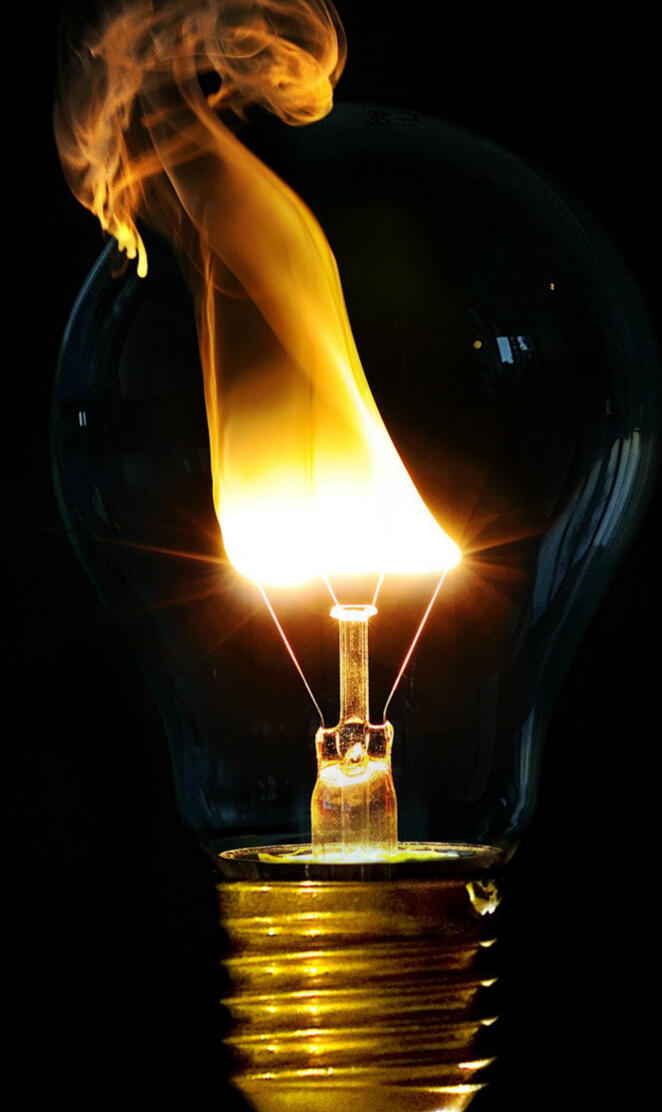 Bulbs