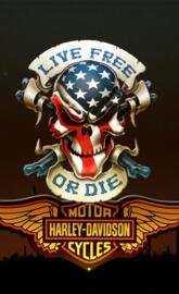 Harley Davidson