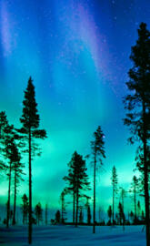 Northern lights