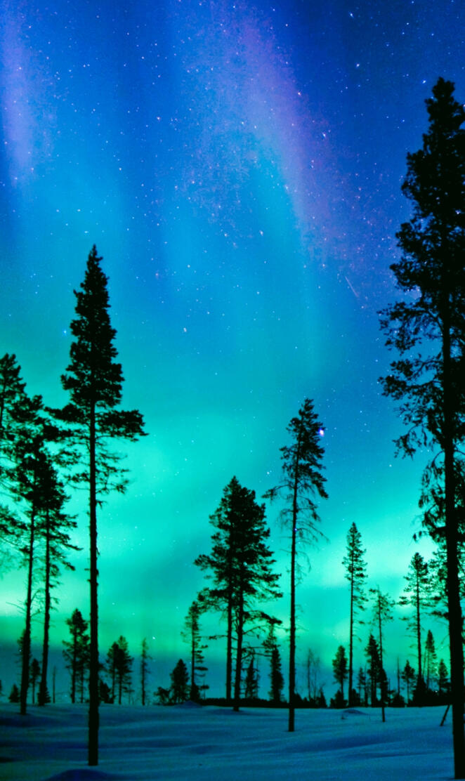 Northern lights