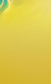 S10e Canary Yellow 1