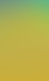 S10e Canary Yellow 2