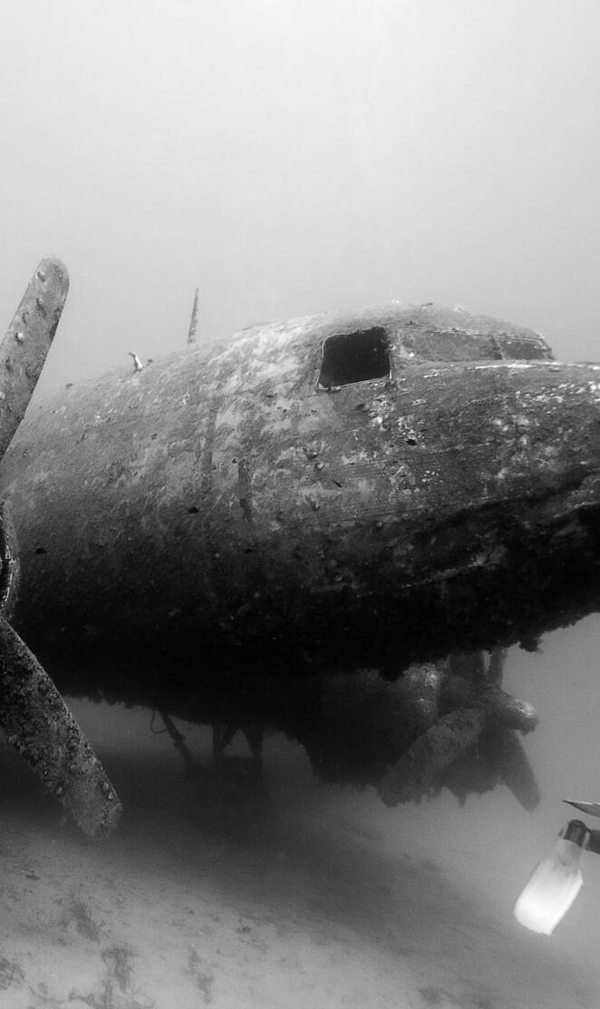 Diver Plane
