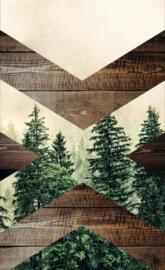 Wood Forest geometry