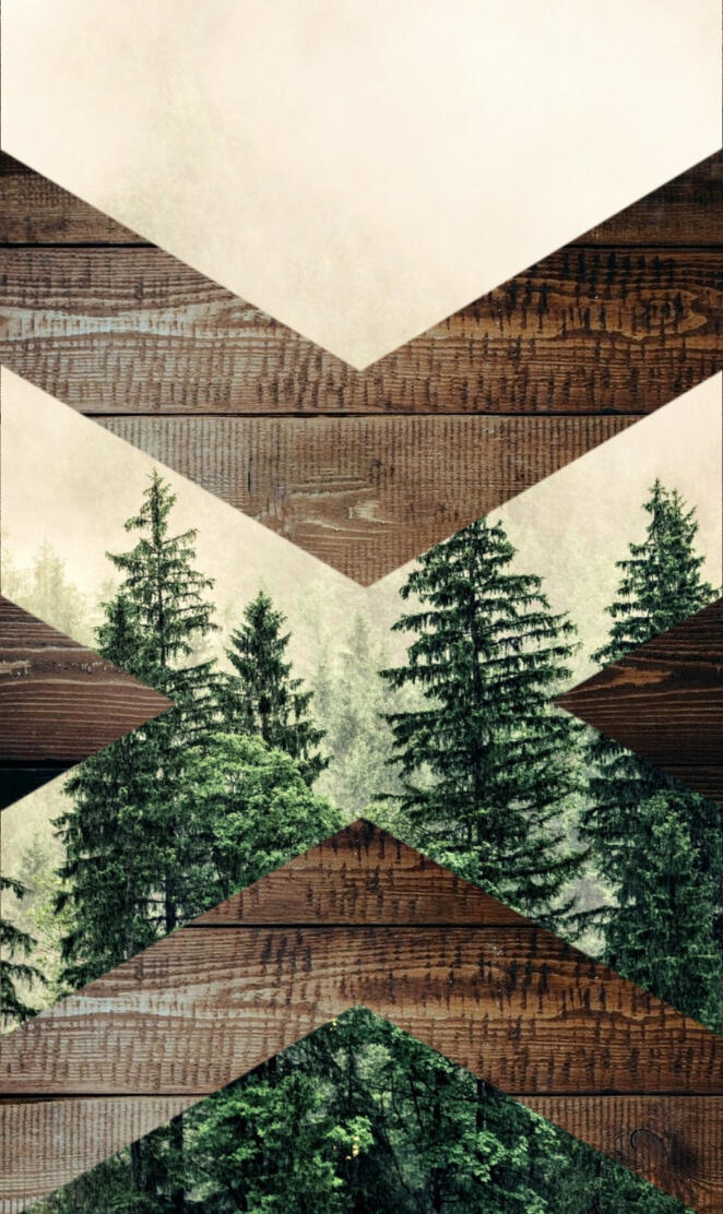 Wood Forest geometry