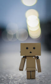 Night Danbo bokeh