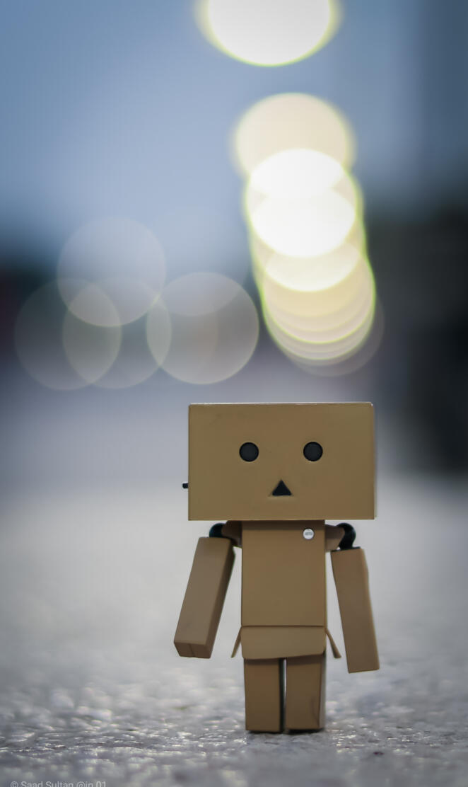 Night Danbo bokeh