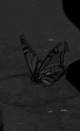 Mariposa astetik dark