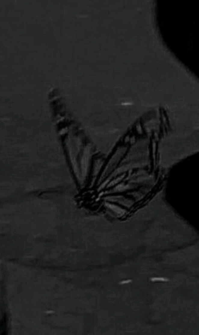 Mariposa astetik dark