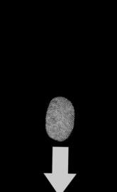 Fingerprint black