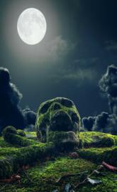 Skull rock night