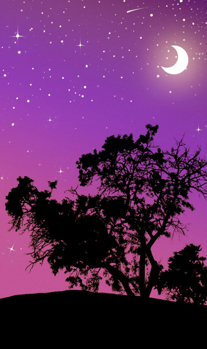 Stars NIght Vector