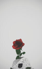 Red Rose Dope