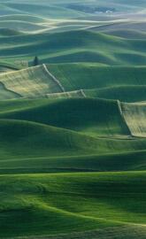 NOTE 9 - GREEN HILLS