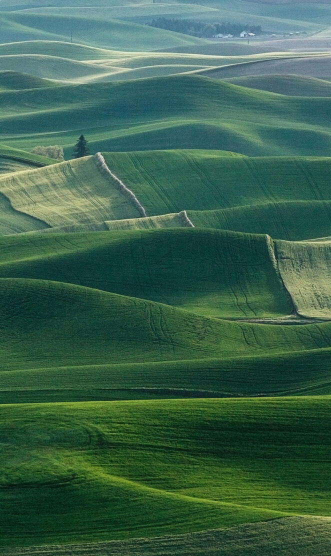 NOTE 9 - GREEN HILLS