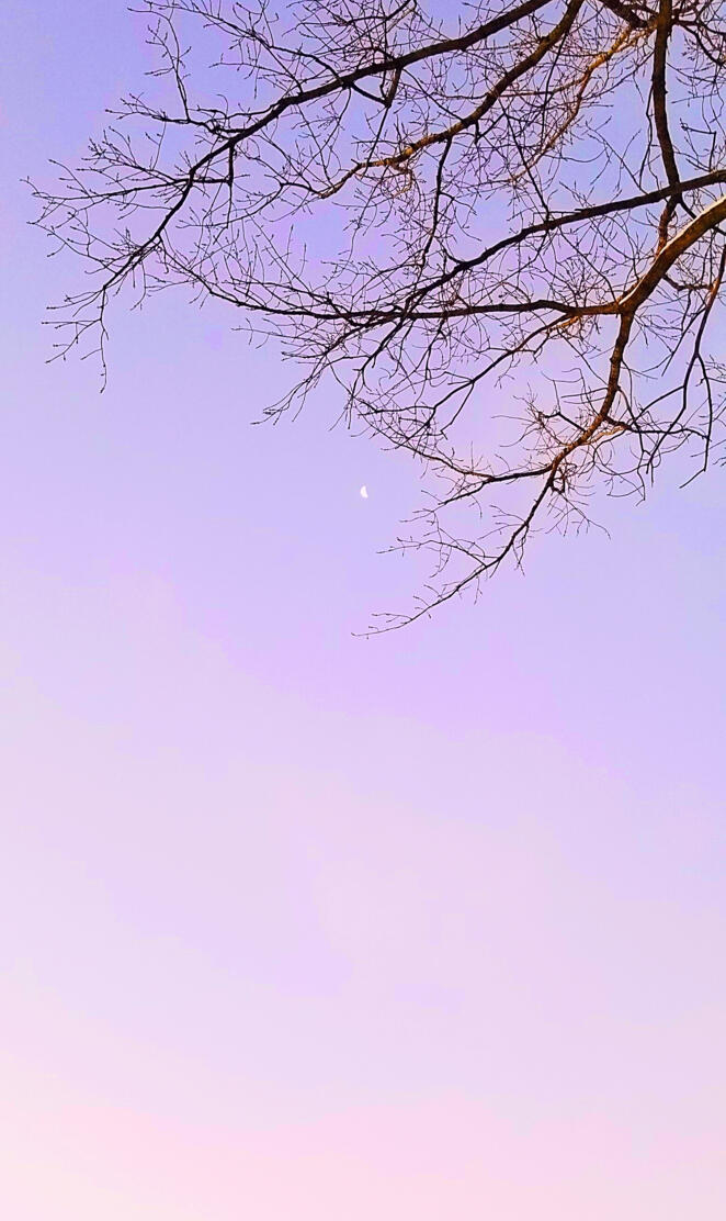 Aesthetic moon